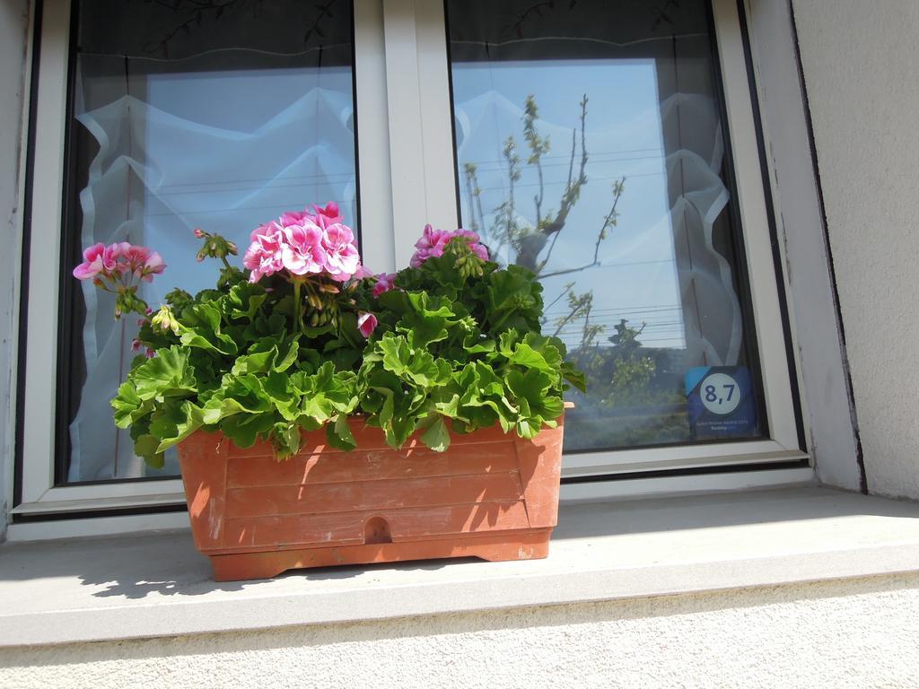 B&B Carlotta Bologna Luaran gambar